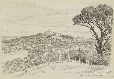 Image: One Tree Hill from Mount Hobson