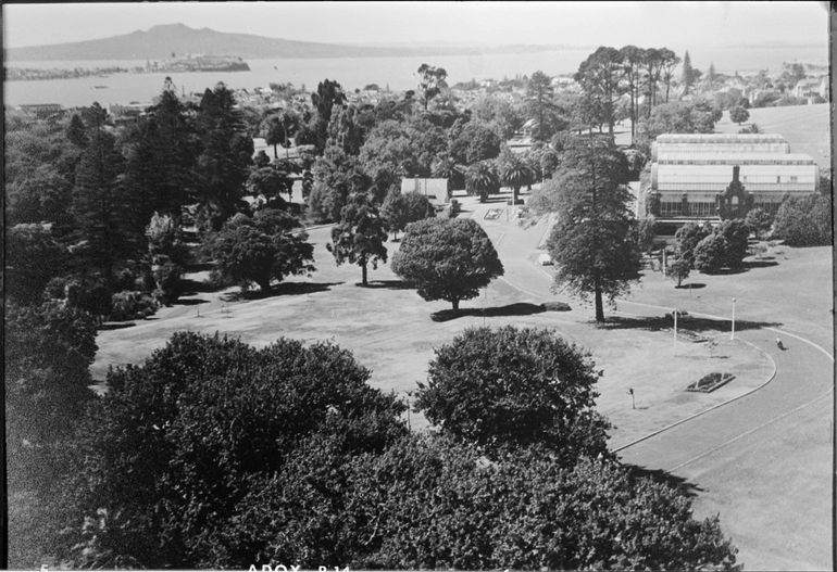 Image: Wintergardens, Auckland Domain, 1957?