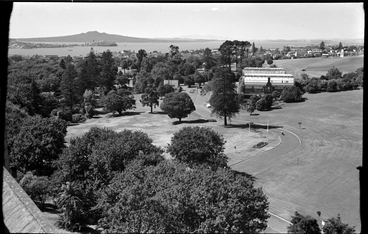 Image: Auckland Domain and Wintergardens from Auckland Hospital