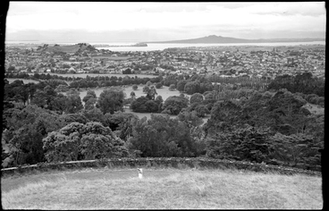 One Tree Hill, looking north Image: One Tree Hill, looking north