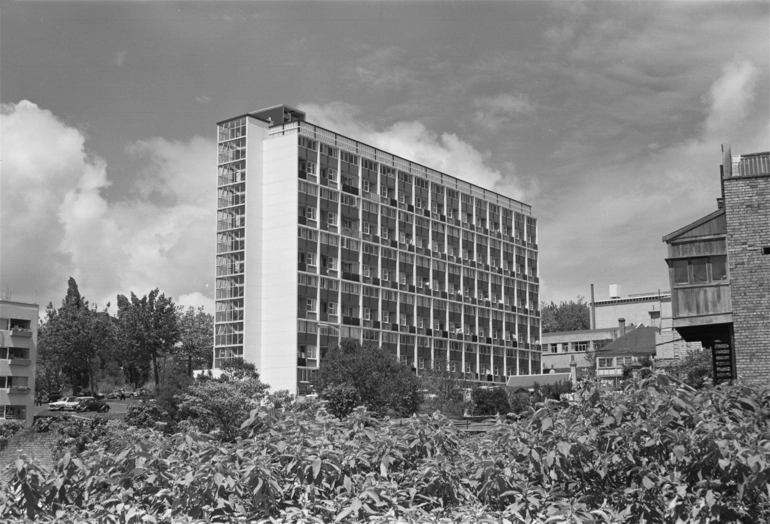 Image: State Housing at 139 Greys Avenue