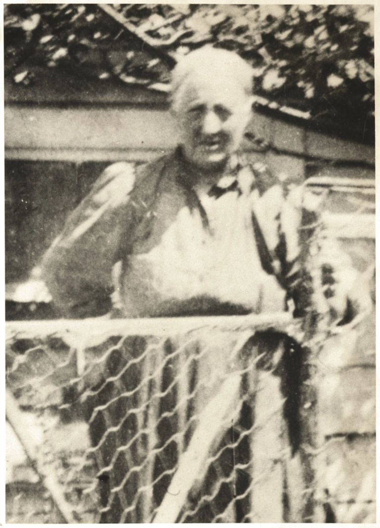 Image: Mrs Walker of Point Chevalier