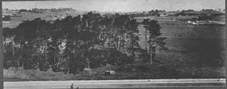 Image: Looking east from Mount Roskill showing Dominion Road...