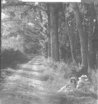 Image: Looking along a tree-lined path with two girls sitting on....