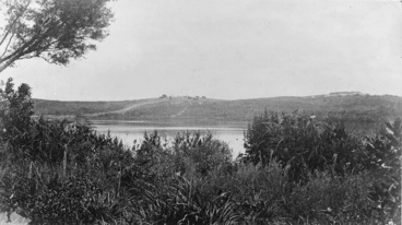 Image: Looking across Waikato River towards Meremere...1864