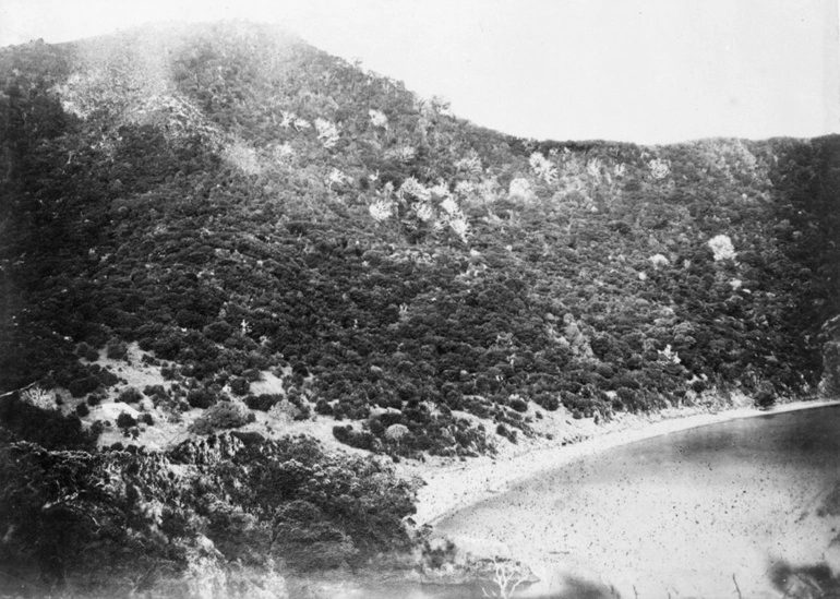 Image: Site of first missionary station in New Zealand at Rangihoua, Bay of Islands...1864