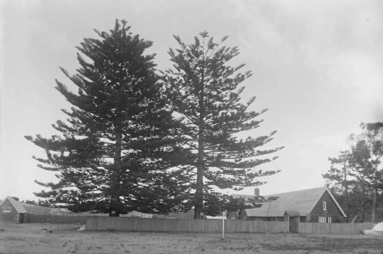 Image: Melanesian Mission House, Mission Bay, 1927