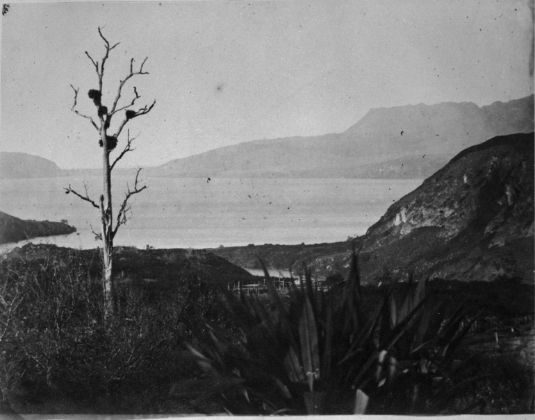 Image: Tarawera