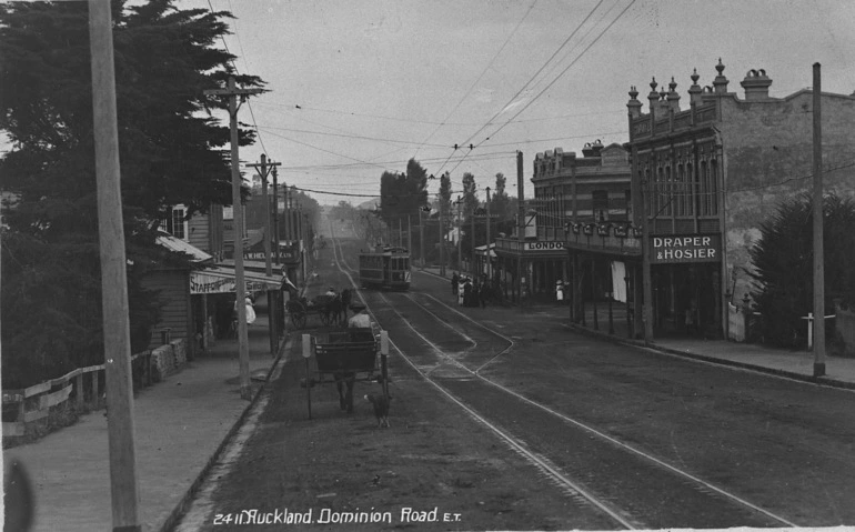 Image: Looking south along Dominion Road in the vicinity of Walters Road