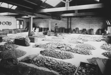 Image: Showing a warehouse with kauri gum sorted...