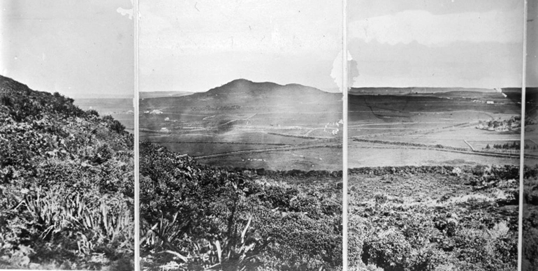 Image: Looking south from Mount Hobson Bay to One Tree Hill