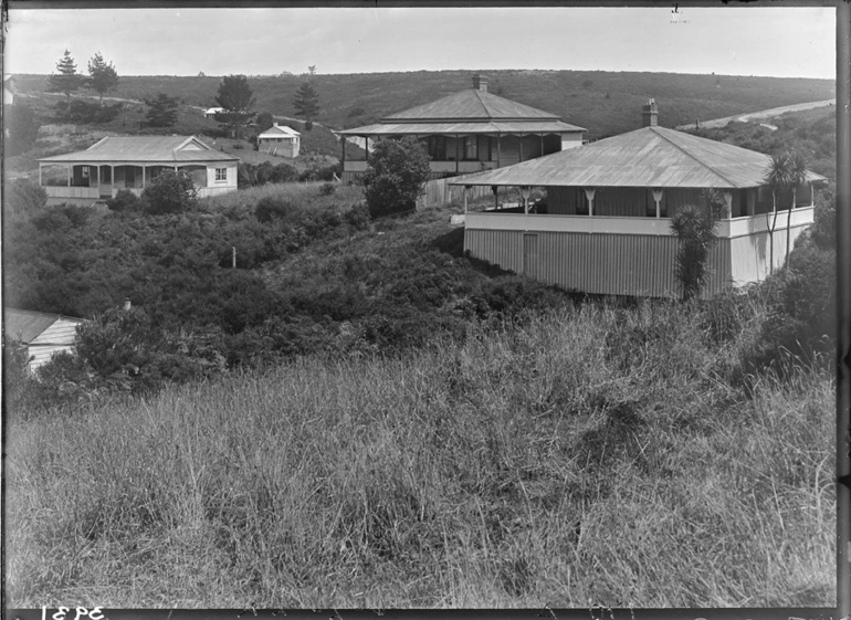 Image: Houses at Castor Bay...1922