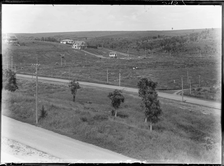 Image: Looking south south west from Ronaki Road, Mission Bay...1931