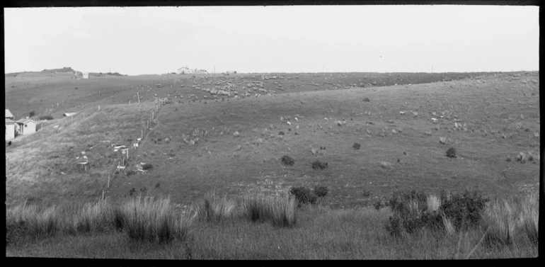 Image: Looking south over Bastion Point...1931