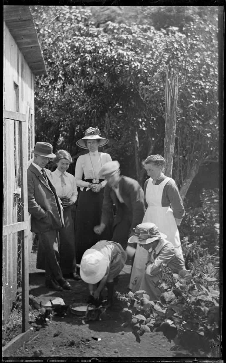 Image: Group feeding kittens