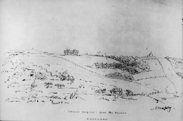 Image: A drawing by Charles Heaphy ...
