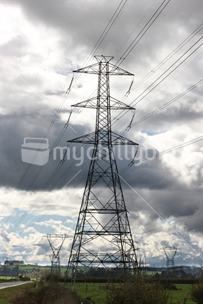 Image: Power pylons carry power from the hydro station at Whakamaru on the Waikato River