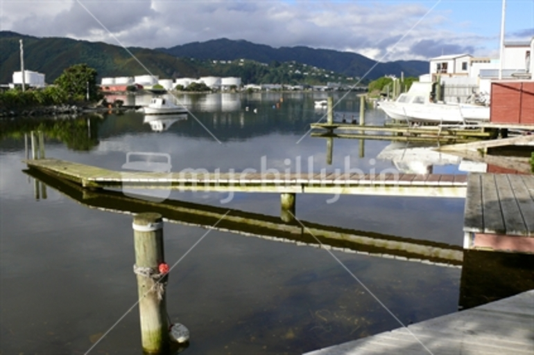 Image: Hikoikoi Reserve on the Hutt River, Wellington.