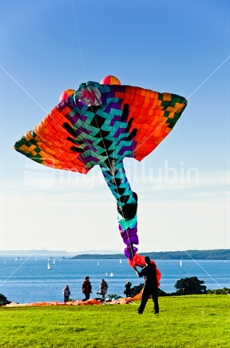 Image: Kites flying over Bastion Point, in celebration of Matariki, Auckland, New Zealand