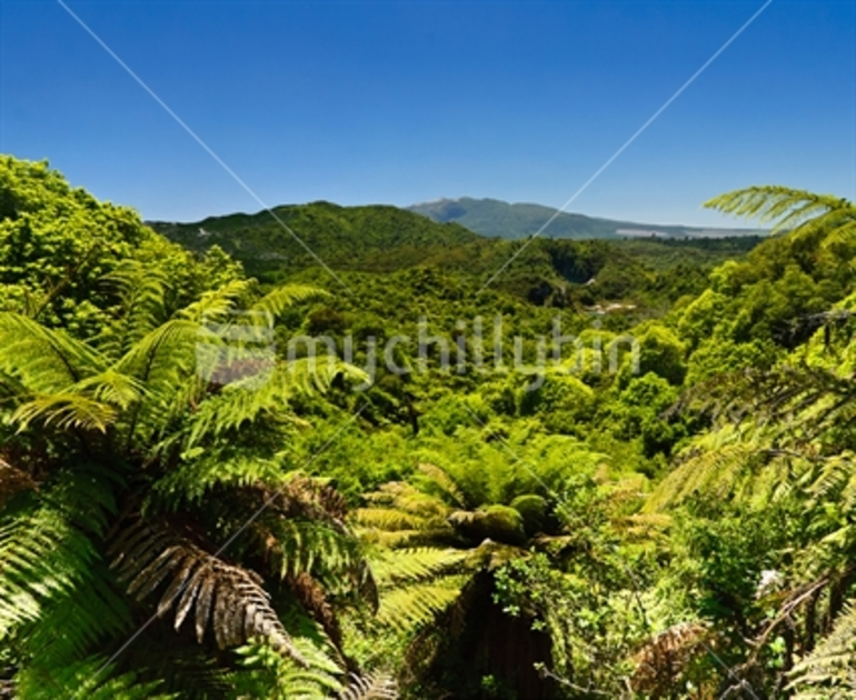 Image: Mt Tarawera seen across the Waimangu Valley, North Island, New Zealand