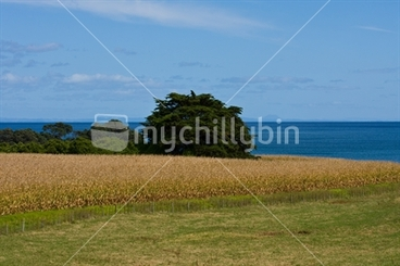 Image: Farmland looking out to sea on a lovely fine day
