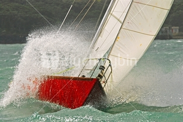 Image: Sailing