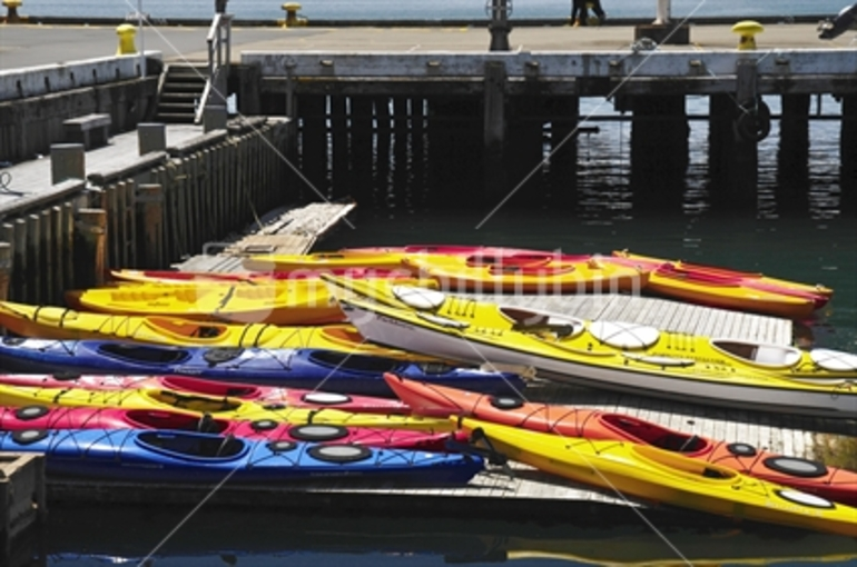 Image: Kayaks for hire, Queen's Wharf, Wellington