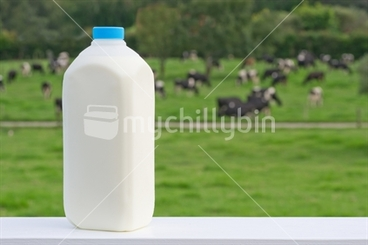 Image: Milk bottle on a handrail, with a herd of dairy cows in the background.