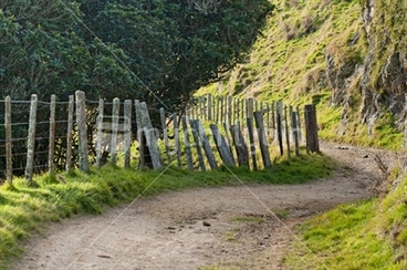 Image: a section of the old coach road between johnsonville and ohariu valley