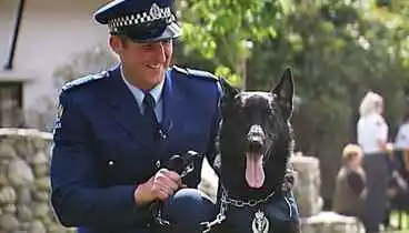 Image: Meet the police dog academy's latest graduates