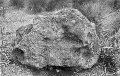 Image: The Waitaki “Mystery” Stone
