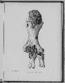 Image: LEG OF DINORNIS ELEPHANTOPUS. — (BACKVIEW: THREE-FOURTHS NATURAL SIZE.)