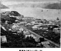 Image: Dunedin, from Canongate,, 1861