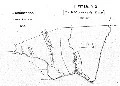 Image: Pipitea- No 2 [Col. Mccleverty's Deed] — 1 Novr. 1847 — Orongorongo — Native Reserve — No 6