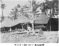 Image: RNZAF medical section, Bougainville