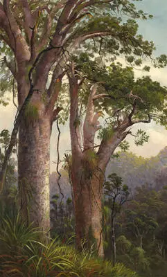 Two Kauris Image: Two Kauris