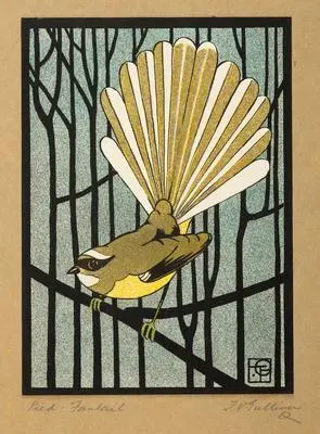 Pied Fantail Image: Pied Fantail