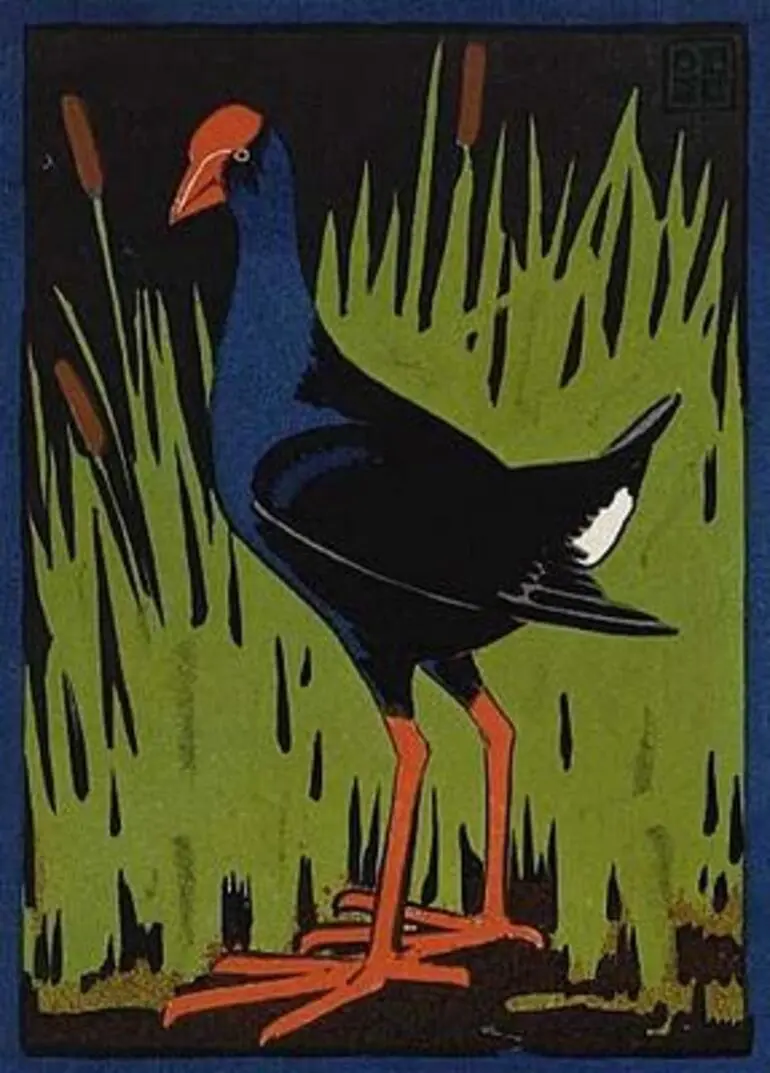 Image: Pukeko