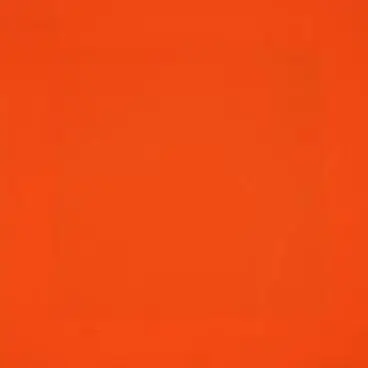 Image: Orange Monochrome (for Peter Halley)