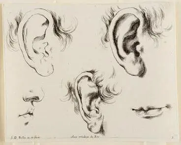 Image: Trois orgilles, un nez en profil et une bouche