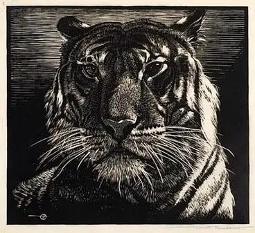 Image: Tiger