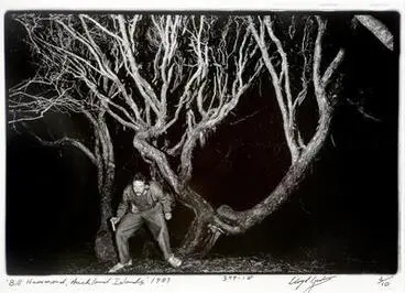 Image: Bill Hammond among the Rata Forest at night, Auckland Islands
