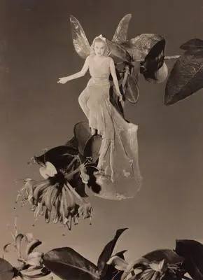 ('Fairy': Montage of a woman in costume on honeysuckle) Image: ('Fairy': Montage of a woman in costume on honeysuckle)