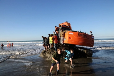 Image: False killer whale stranding, Waimairi Beach