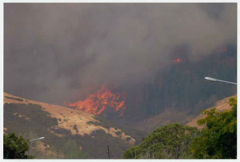 Image: Port Hills Fires, February 2017