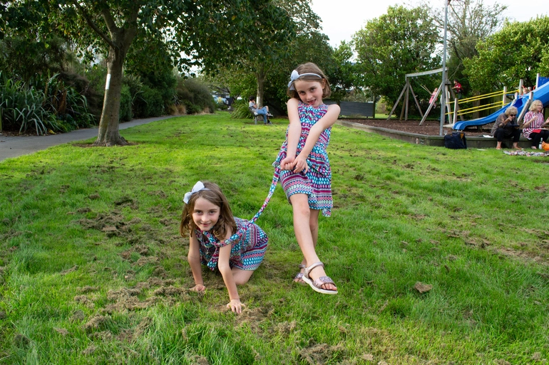 Image: Children playing at the annual community barbeque, Moa Park