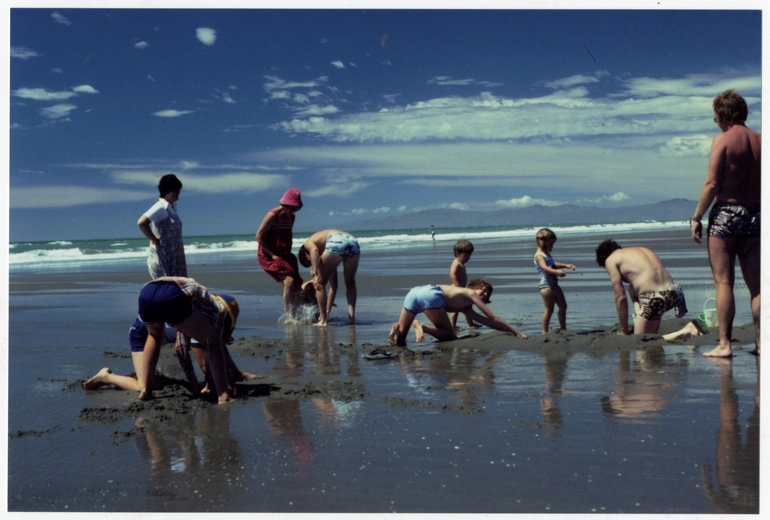 Image: Summer day at Pines Beach