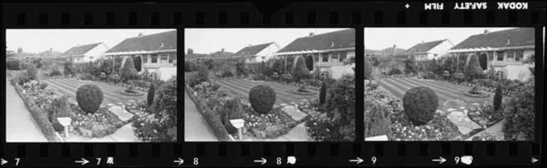 Image: Garden at 7 Doreen Street