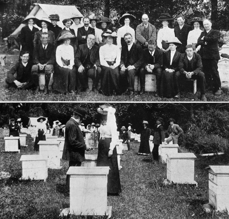 Image: Canterbury Bee-keepers' Association