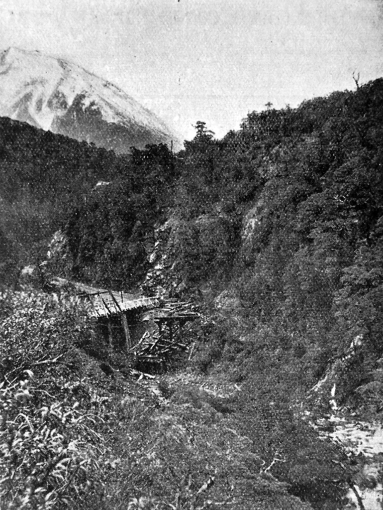 Image: The White Bridge, Bealey Gorge